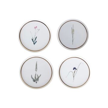Porland 04ALM007234 Botanical 21 cm 4'lü Pasta Takımı