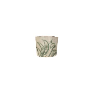 Porland Aloe 13x11 cm Saksı