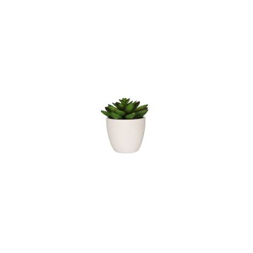 Porland Aloe Vera 10 cm Mini Yapay Bitki