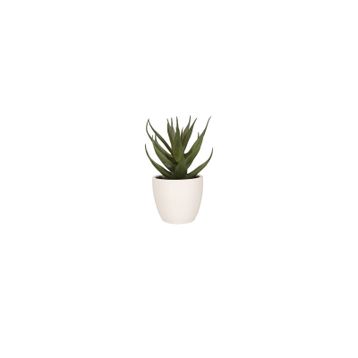 Porland Aloe Vera 15 cm 6 Adet Mini Yapay Bitki