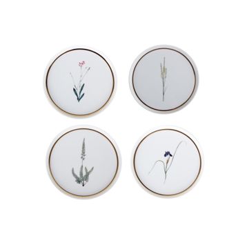 Porland Botanical 4'lü 21 cm Pasta Takımı