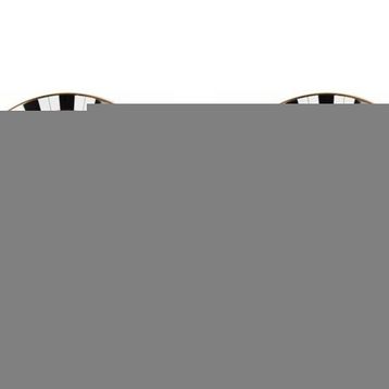 Porland Palms 26 cm Kase