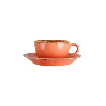 Porland Seasons Turuncu 250 cc Tabaklı Çay Fincanı