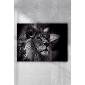 Postermanya Aslan Motivasyon 5 70x100 cm Poster