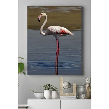Postermanya Flamingo Hayvan 40x60 cm Poster