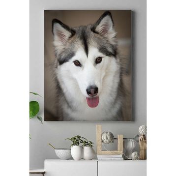 Postermanya Husky Hayvan 40x60 cm Poster