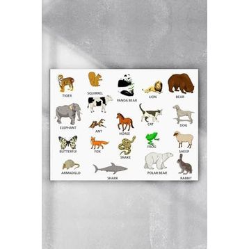 Postermanya Ingilizce Hayvanlar Eğitim 30x40 cm Poster