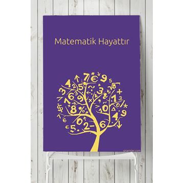 Postermanya Matematik Hayattır Eğitim 40x60 cm Poster