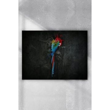 Postermanya Papağan Sanatsal 30x40 cm Poster