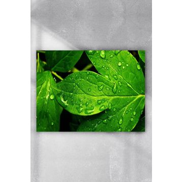 Postermanya Sanatsal 70x100 cm Poster