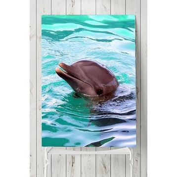 Postermanya Yunus Balığı Hayvan 80x115 cm Poster