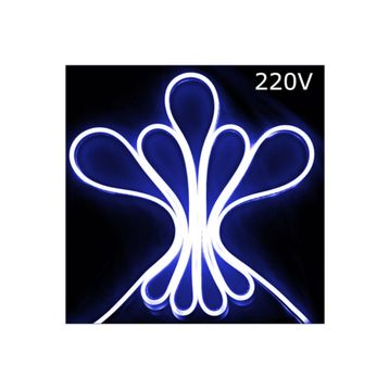 Powermaster 10 m 220 Volt Mavi Hortum Led