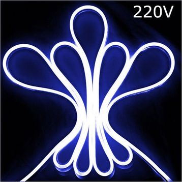 Powermaster 10 m 220 Volt Mavi Hortum Led