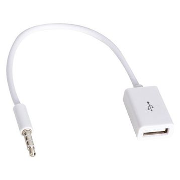 Powermaster Dişi Aux Stereo USB Kablo