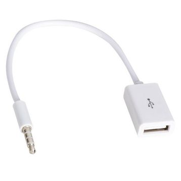 Powermaster Dişi Aux Stereo USB Kablo