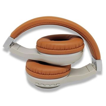 Powermaster SYBT1607 Bluetooth Kulaklık