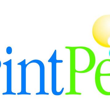 Printpen HP CF217A Siyah Muadil Toner