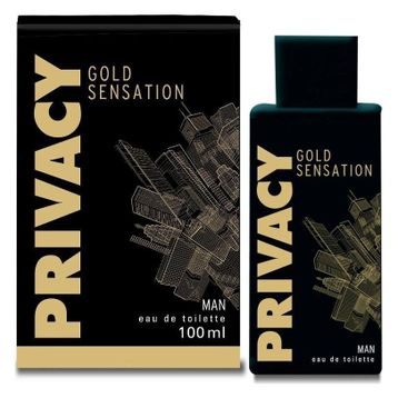 Privacy Bay Gold 100 ml EDT Erkek Parfüm