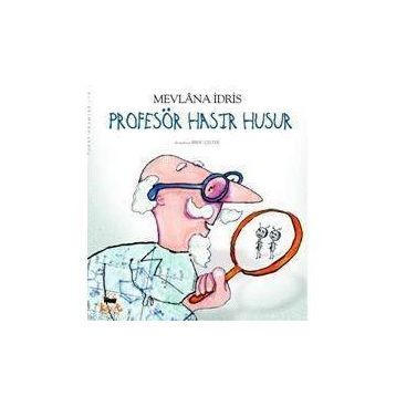 Profesör Haşır Huşur - Mevlana İdris