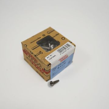 Profi Depot Yıldız Başlı Vida