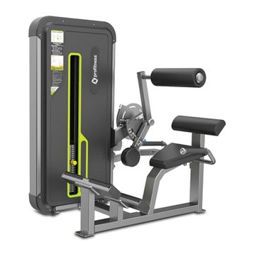 Profitness A3031 Back Extension