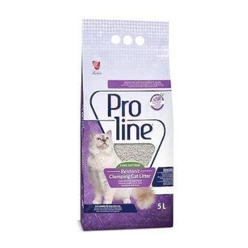 Proline 5 lt 4 Adet Lavantalı Topaklaşan İnce Bentonit Kedi Kumu