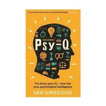 PSY-Q - Ben Ambridge