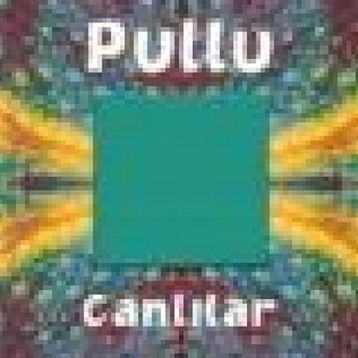 PULLU CANLILAR - CLINT TWIST