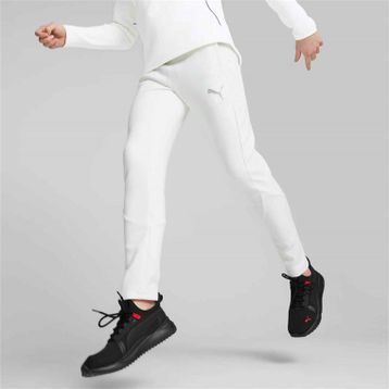 Puma 59492403 Erkek Evostripe Move Eşofman Altı