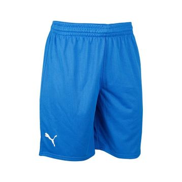 Puma 60547201 Turkey Practice Short Mavi Türkiye Erkek Basketbol Şortu