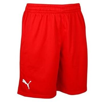 Puma 60547202 Turkey Practice Short Kırmızı Türkiye Erkek Basketbol Şortu