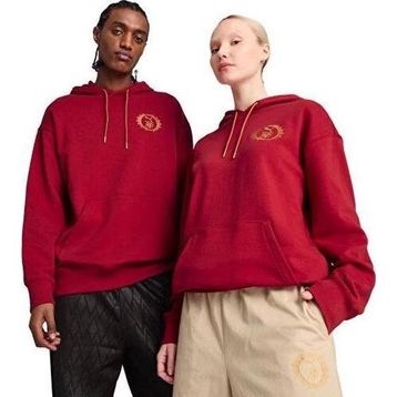 Puma 630093-13 Kırmızı X Harry Potter Hoodie Erkek Sweatshirt