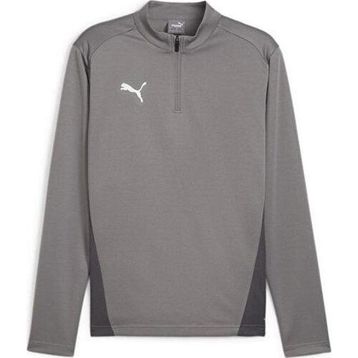 Puma 65862913 Gri Teamgoal Training 1/4 Zip to Erkek Futbol Antrenman Uzun Kollu Üst