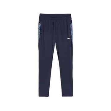 Puma 65917506 Teamcup Training Pants Gri Erkek Eşofman Altı
