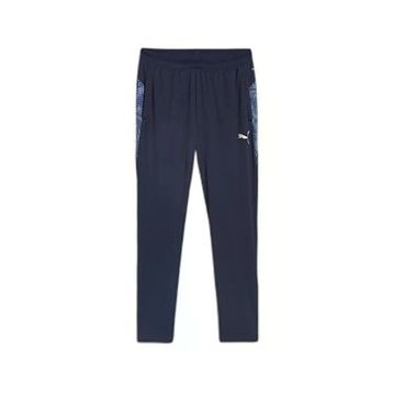 Puma 65917506 Teamcup Training Pants Gri Erkek Eşofman Altı
