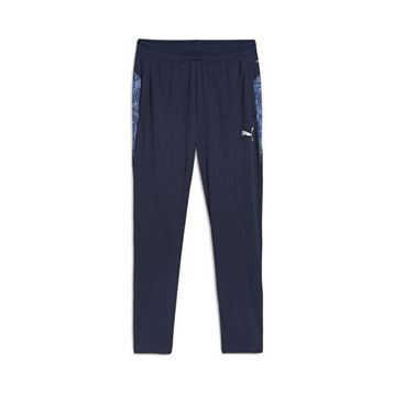 Puma 65917506 Teamcup Training Pants Gri Erkek Eşofman Altı