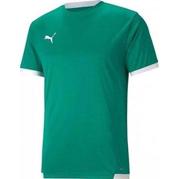 Puma 70491705 Teamliga Jersey Yeşil Erkek Futbol Forması
