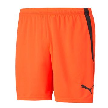 Puma 70492445 Teamliga Shorts Turuncu Erkek Futbol Şortu