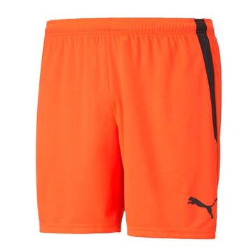 Puma 70492445 Teamliga Shorts Turuncu Erkek Futbol Şortu