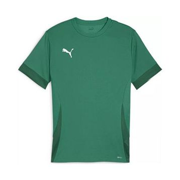Puma 70574705 Renkli Teamgoal Matchday Jersey Erkek Futbol Antrenman Tişörtü
