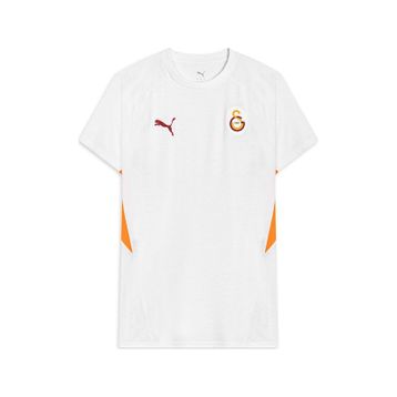 Puma 782906 04 Beyaz Galatasaray Evostripe Erkek Tişört