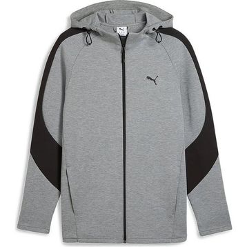 Puma Evostripe Core FZ Hoodie Gri Erkek Sweatshirt