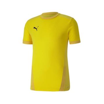 Puma Teamgoal 23 Jersey Erkek Futbol Forması