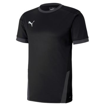 Puma Teamgoal 23 Jersey Erkek Futbol Forması