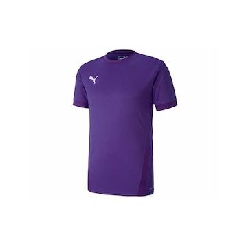 Puma Teamgoal 23 Jersey Erkek Futbol Forması