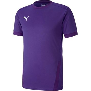 Puma Teamgoal 23 Jersey Erkek Futbol Forması
