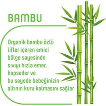Pure Baby Organic Bambu Özlü No:5 Junior 40 Adet Külot Bebek Bezi