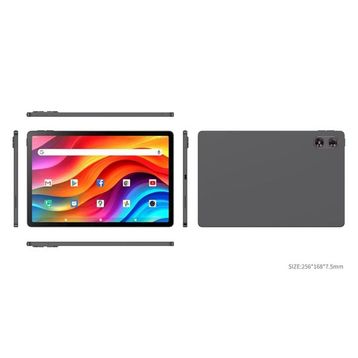 Quantum Elise T80P 256 GB 10.95 inç Tablet
