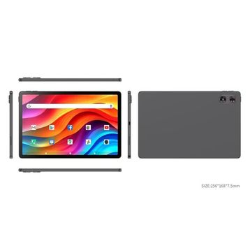 Quantum Elise T80P 256 GB 10.95 inç Tablet