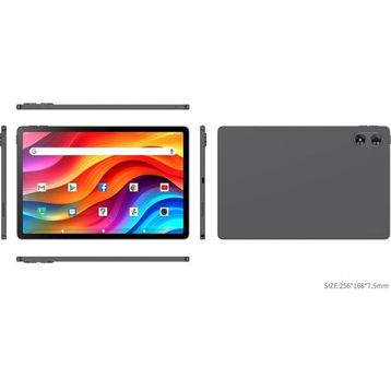 Quantum Elise T90A 256 GB 10.95 inç Tablet